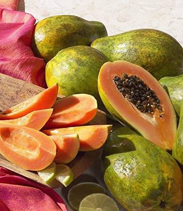 MKR Enterprises Papaya Seed