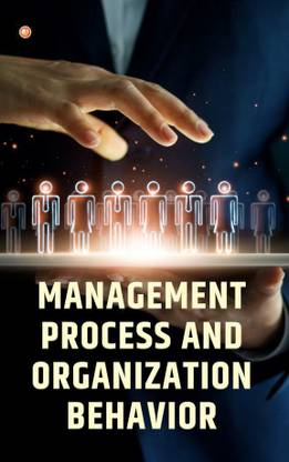 Management Process And Organizational Behavior