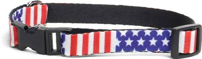 WIGGLE TWIDDLE Dog Everyday Collar