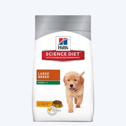 Hill's Science Diet Puppy Large Breed Dry Dog Food - Chicken Meal & Oats Chicken 4 kg Dry Adult Dog Food