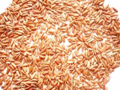 Xetomos Lal Chawal Devi Chawal Rice Red Rice 250g seeds Seed