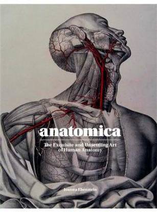 Anatomica