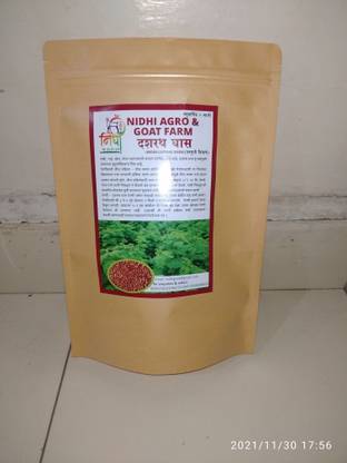NIDHI AGRO AND GOAT FARM HEDGE LUCERNE SEEDS, DASARATH GRASS SEEDS Seed