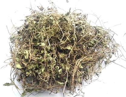 Xetomos Brahmi Bacopa Monnieri Birami Sambarenu 250g seeds Seed
