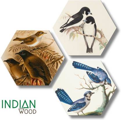 indian wood Birds In Nest Nature Set of 3 Hexagon Wall Decor Digital Reprint 21 inch x 21 inch Painting