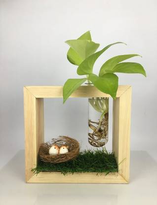 GreenDec Plant Container Set