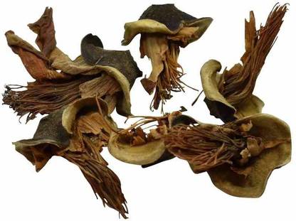 Xetomos Semal Ka Phool 250g seeds Seed