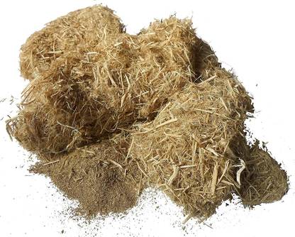 Xetomos bala Sida cordifolia 250gm seeds Seed