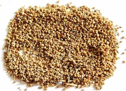 Xetomos Ajmoda Karfas Wild Celery Seed