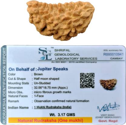 jupiter speaks Ek Mukhi Rudraksha / One Face Rudraksha Indian Lab Certified Natural Brown Wood Pendant
