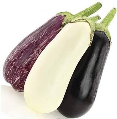 MKR Enterprises Brinjal Seed
