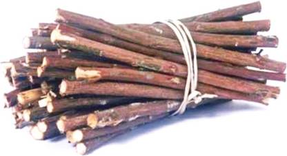 Xetomos Babool Datun Chew Stick 50 sticks Seed