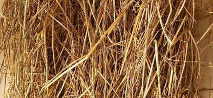 Das Departmental Store 3 Kg Rice Straw Mulch for Mushroom Farming and Gardening Garden Mulch