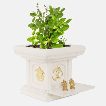 Yuccabe Italia Creame White 10 Inches Tulsi Planter Plant Container Set