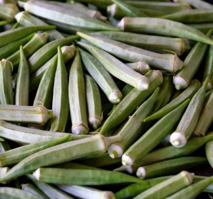 CEZIUS Summer Vegetable Okra - Hibiscus esculentus Seed