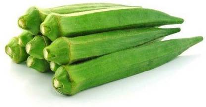 KLARKEE Z925_S_Okra Lady Finger /Green Okra Seeds Seed