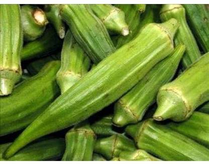 GREENIFY Seeds Perkins Long Pod Okra Heirloom Seed Seed
