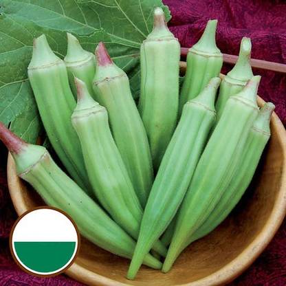 GREENIFY Clemson Spineless Okra Seed