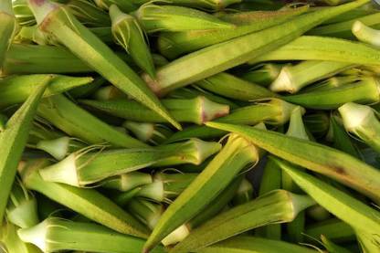 GREENIFY Thai Okra Bhindi Seeds Seed