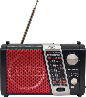 Bluetail Retail H-879BT FM Portable Rechargeable Radio Bluetooth with USB/SD/TF Mp3 Player FM Radio