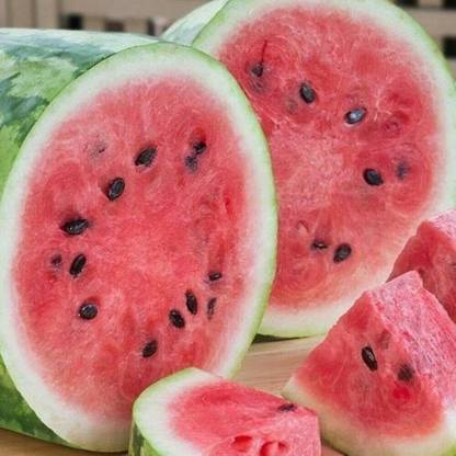 CYBEXIS HUA-99 - Jubilee Watermelon - (150 Seeds) Seed