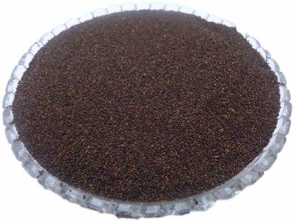 Nutiva SAMUNDER SOKH-KAMARKAS SEEDS-SAMUNDAR SOKH-CONVOLVULACEAE Seed