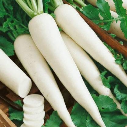 Qualtivate Upl Radish (Mulli) Vegetable Hybrid Variety Seed