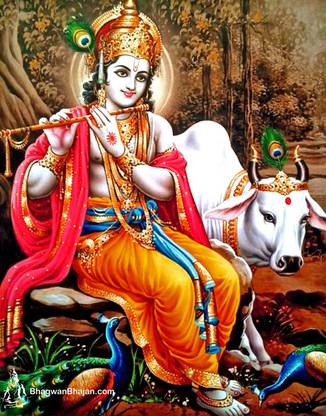 Shri Krishna Ji Multicolour Photo Print Poster Photographic Paper