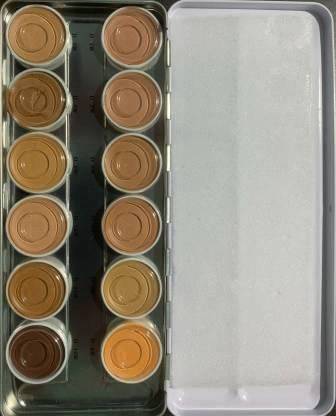 YENKY Derma Color Camouflage Creme Base Palette (12 Multi-Shades)  Foundation