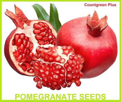 Countgreen Plus POMEGRANATE FRUIT Seed