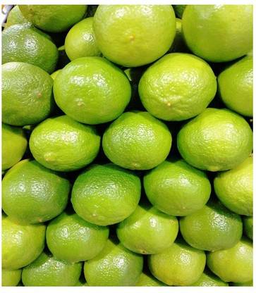 Klone Sweet lemon, and sweet limetta Seed Seed