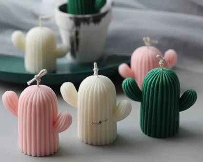 SAPI'S Cactus Candle, Vanilla, Lemon Grass & Strawberry Scented Candle