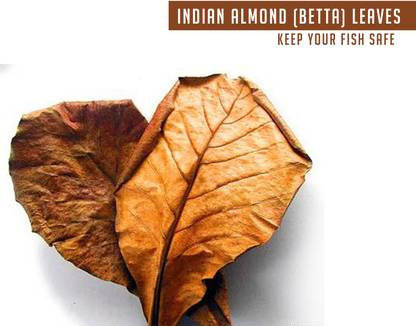 Aadhiyogi ayurvedha Almond Leaves Aquarium Fish Food Natural Dried Leaves Aquatic Plant Fertilizer Aquatic Plant Fertilizer