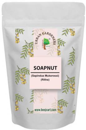 urban Gardeners Soap Nut Seeds Seed