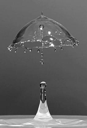 Digital Painting water drop in umbrella shape Poster Wallpaper on LARGE PRINT 36X24 INCHES Photographic Paper