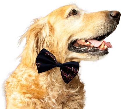 RUSE Bow Tie for Dog, Cat