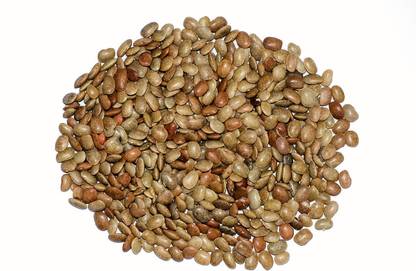 Nutiva KULTHI DAL, GAHAT DAL, DOLICHOS BIFLORUS, HORSE GRAM Seed