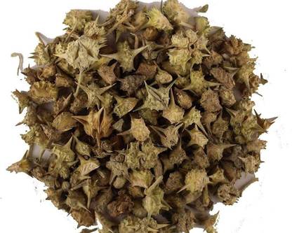 नुतिवा गोखरू बिग-गोखरू बुरा-पीडालियम मोरेक्स -कैल्ट्रोप्स बीज
