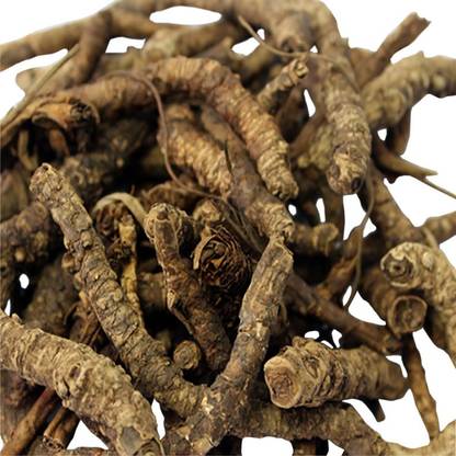 Nutiva KUTKI ROOT, KATUKI JADD, KUTAKI ROOTS, PICRORHIZA KURROA Seed