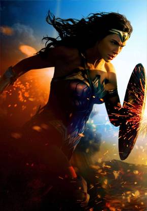 wonder woman fu lsr Matte Finish Poster Paper Print