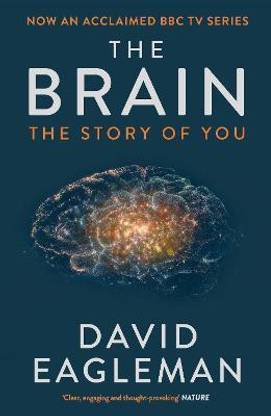 The Brain  - The Story of You