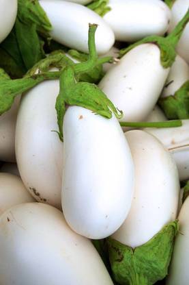MKR Enterprises White Brinjal Seed
