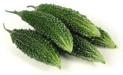 UGRA BITTER MELON Ground SEEDS Seed