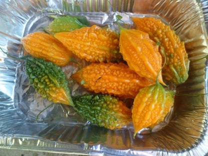 Avysa Bitter Melon, Karela, Bitter Gourd Seed