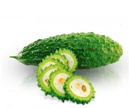 CEZIUS Bitter Gourd/Karela/Karli Vegetable Seeds Bittergourd Seeds Seed