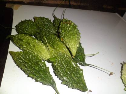 Corofitam Bitter Melon, Karela, Bitter Gourd Seed