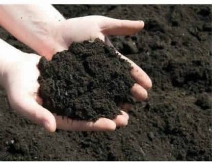 ecopower Soil Conditioner and Plant Growth Stimulant Fertilizer