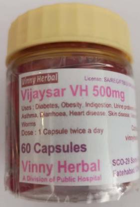 Vinny Herbal Vijaysar VH 500mg Capsules 60 Caps