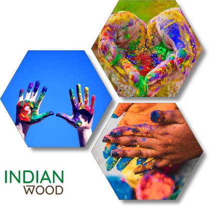 indian wood Holi Color Modern Art Set of 3 Hexagon Wall Decor Digital Reprint 21 inch x 21 inch Painting