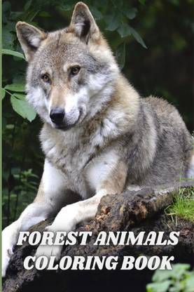 Forest Animals Coloring Book